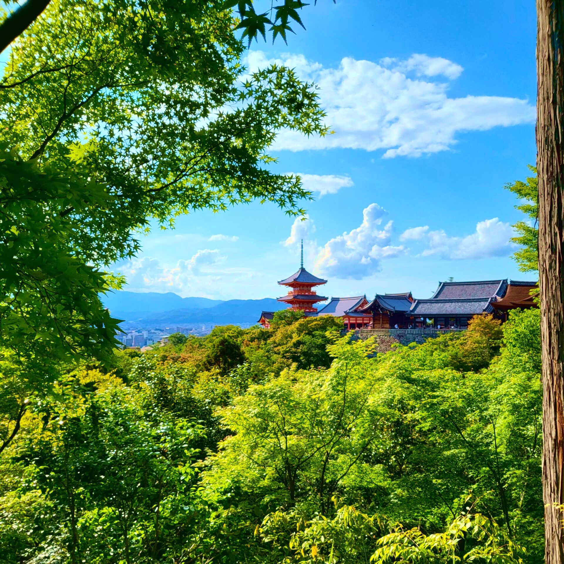 Le temple de Kyoto, au Japon.